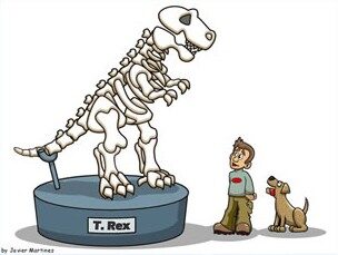 mr trex bones
